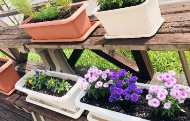 かがみはらの憩の魅力